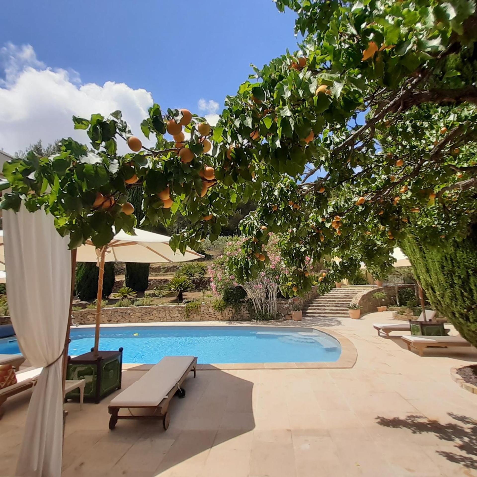 Bed and Breakfast Mas Lei Bancau Le Beausset Exterior foto